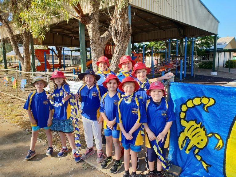 ILFRACOMBE SCHOOL CLUSTER, QLD